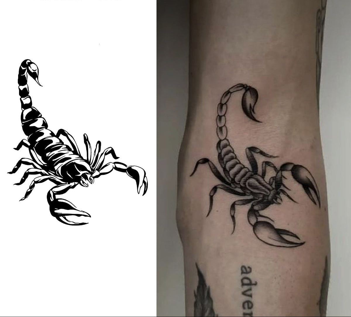 Scorpion Tattoo